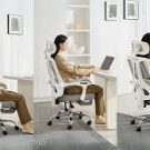Easy Tips to Make Your Office More Productive: Enhance Comfort with the Right Cushions